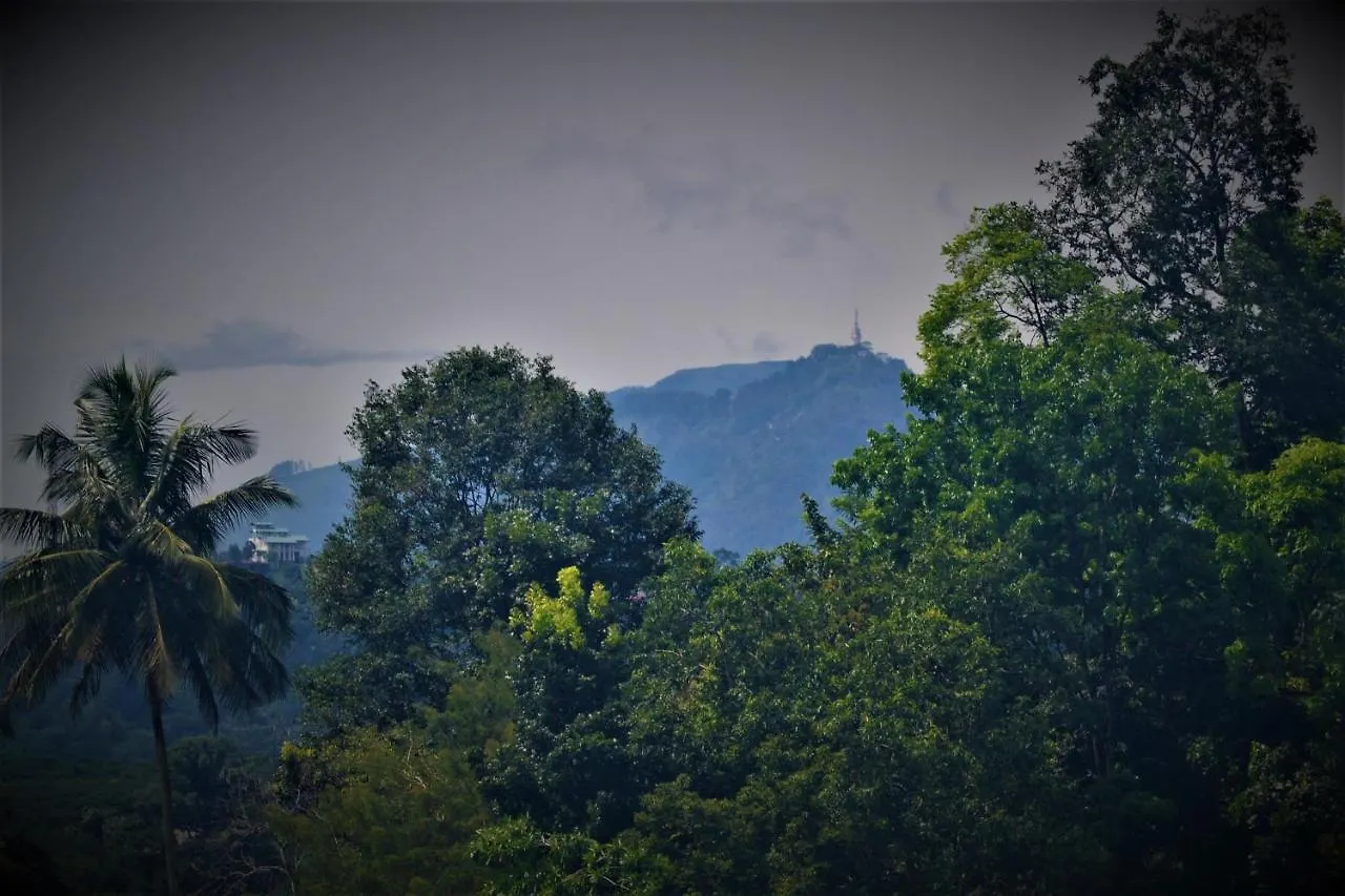 Rock Edge Residence Kandy Homestay